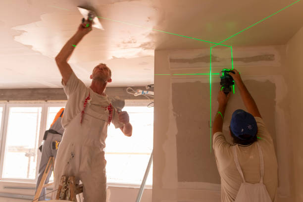 Best Ceiling Painting Services  in USA