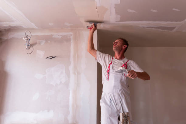 Best Residential Drywall Installation  in USA